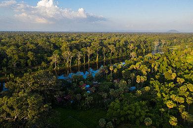 初代诞生26年 宝可梦种类现已超过1000种